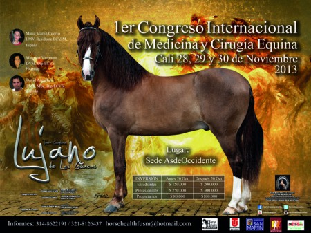 Primer Congreso Internacional de Medicina y Cirugía Equina